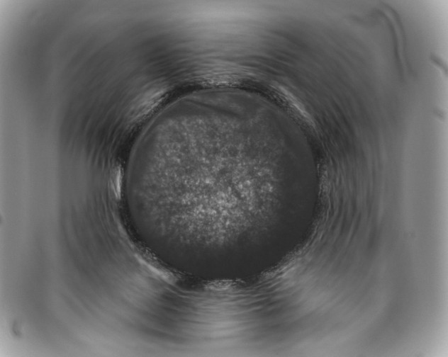 X0000095900076200802081150