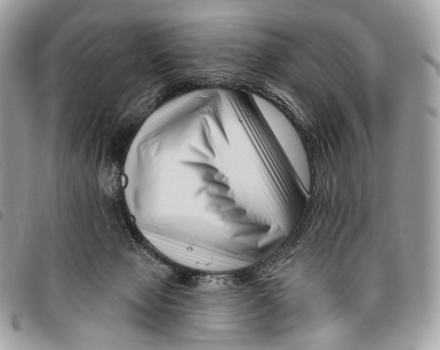 X0000095900077200802081150