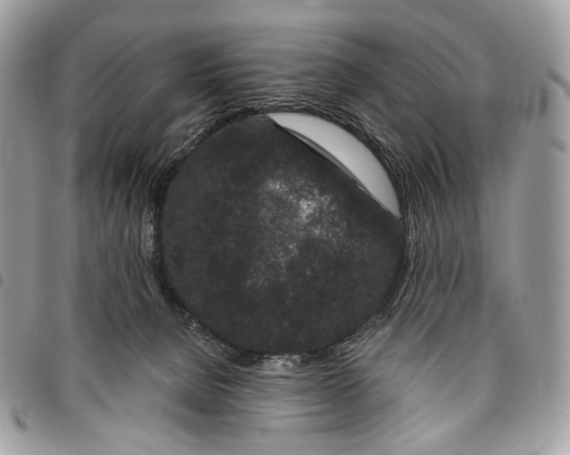 X0000095900080200802081150