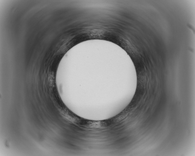 X0000095900083200802081150