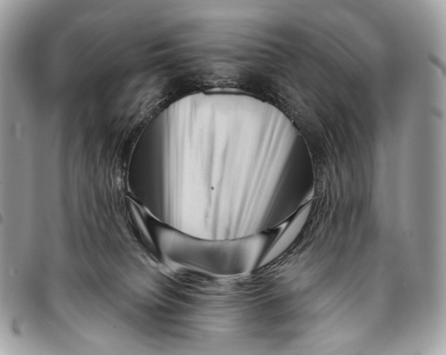 X0000095900084200802081150