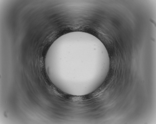 X0000095900085200802081150