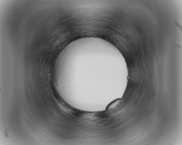 X0000095900086200802081150