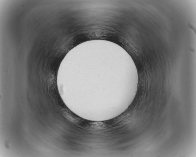 X0000095900087200802081150