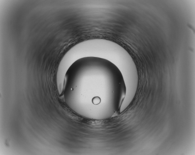 X0000095900088200802081150