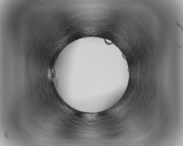 X0000095900089200802081150