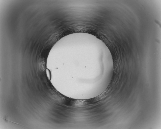 X0000095900090200802081150