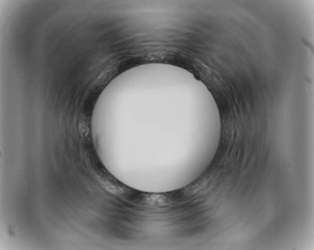 X0000095900091200802081150