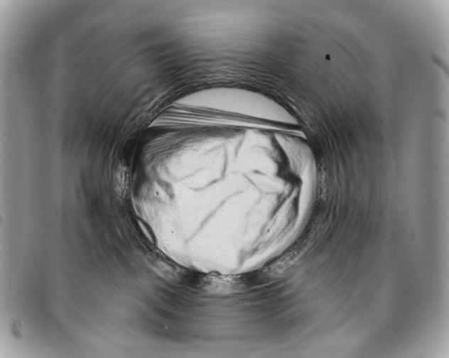 X0000095900093200802081150