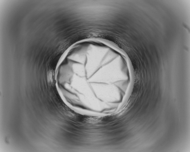 X0000095900094200802081150