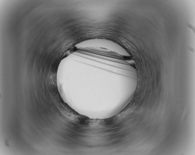 X0000095900096200802081150