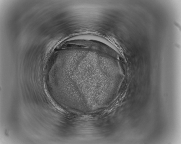 X0000095900097200802081149