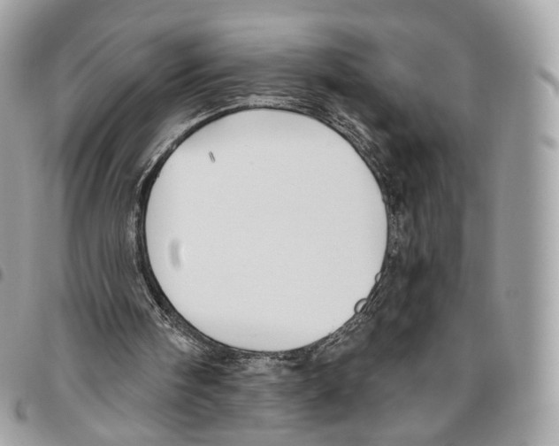 X0000095900098200802081149