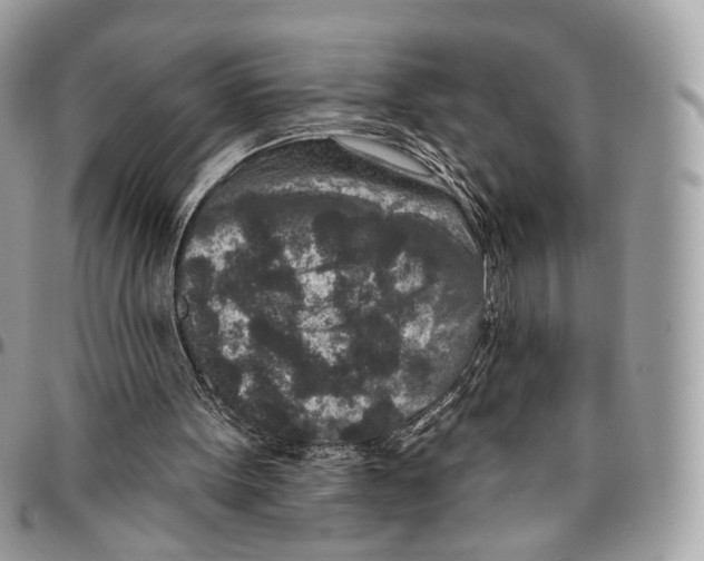 X0000095900099200802081149