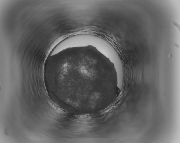 X0000095900100200802081149