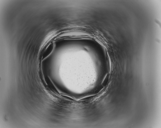 X0000095900101200802081149