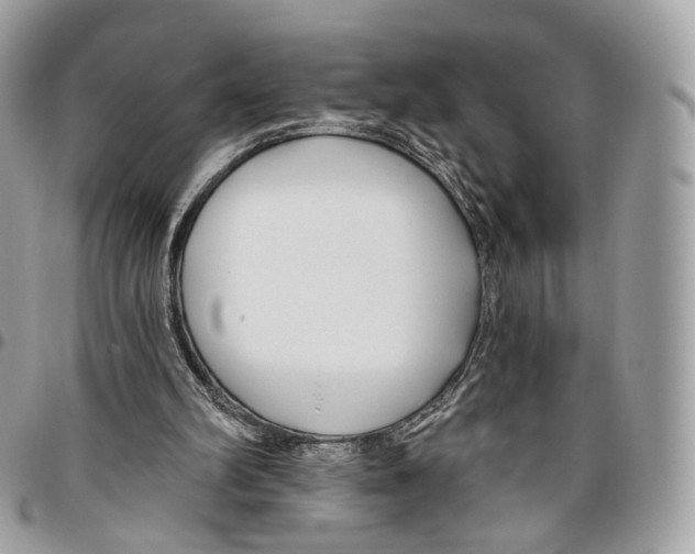 X0000095900102200802081149