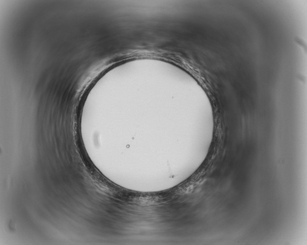 X0000095900103200802081149