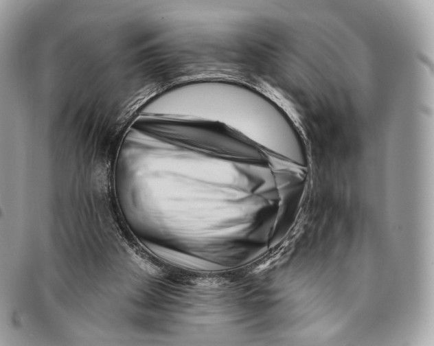 X0000095900105200802081149