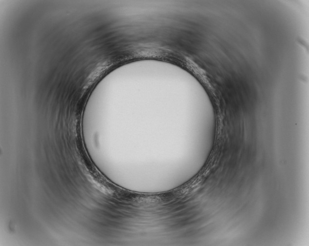 X0000095900106200802081149