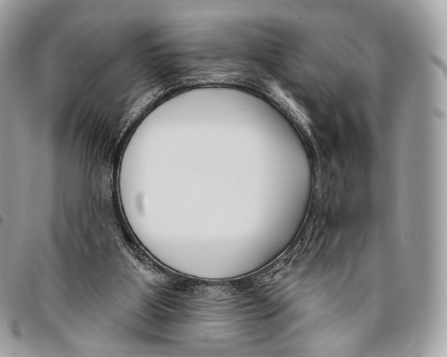 X0000095900107200802081149