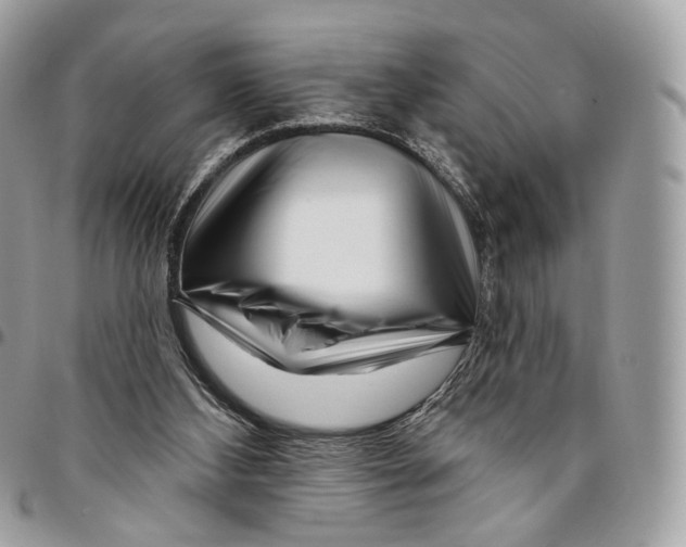 X0000095900108200802081149