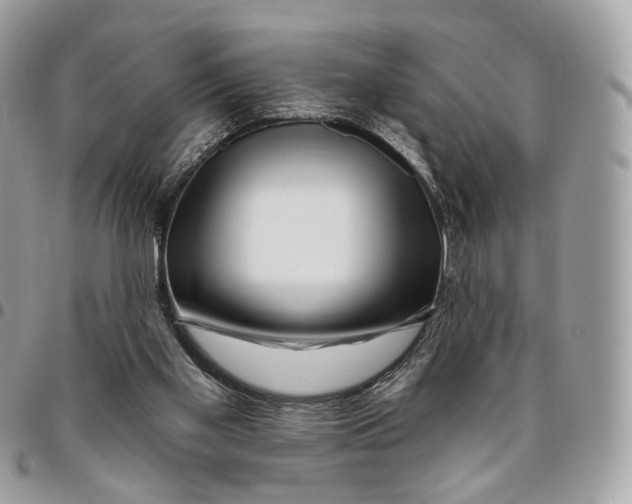 X0000095900109200802081149