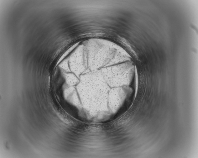 X0000095900110200802081149