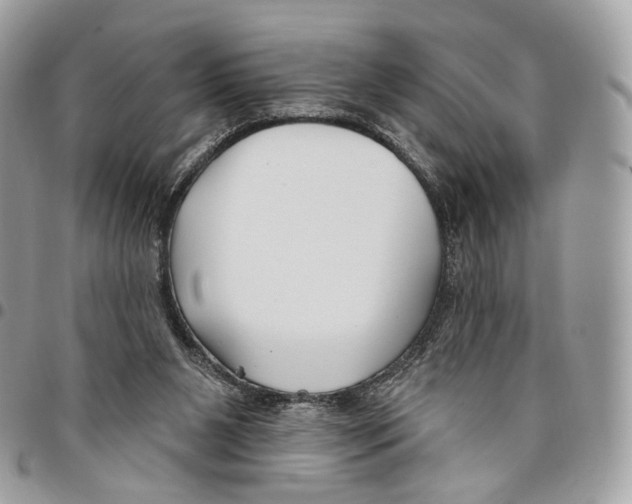 X0000095900111200802081149