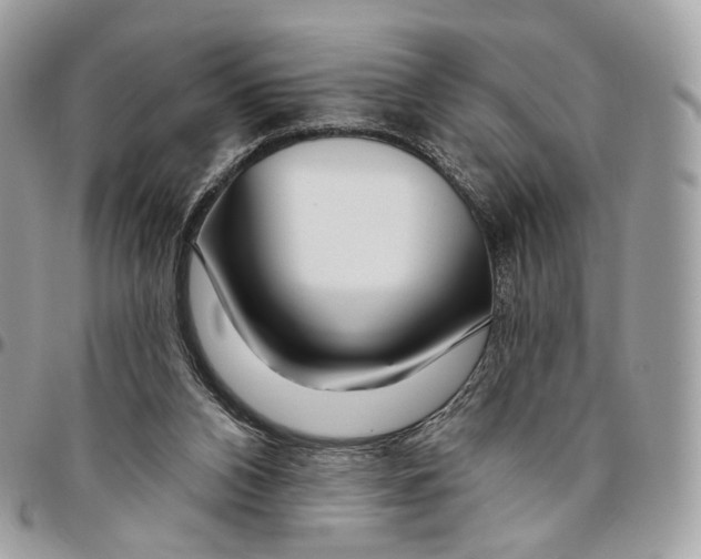 X0000095900112200802081149