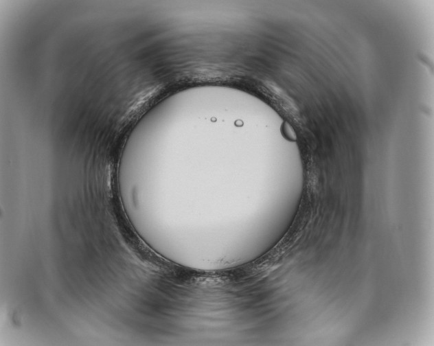 X0000095900115200802081149