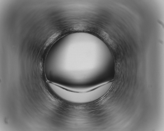 X0000095900116200802081149