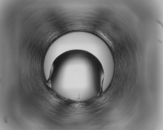 X0000095900117200802081149