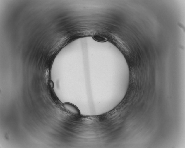 X0000095900118200802081149