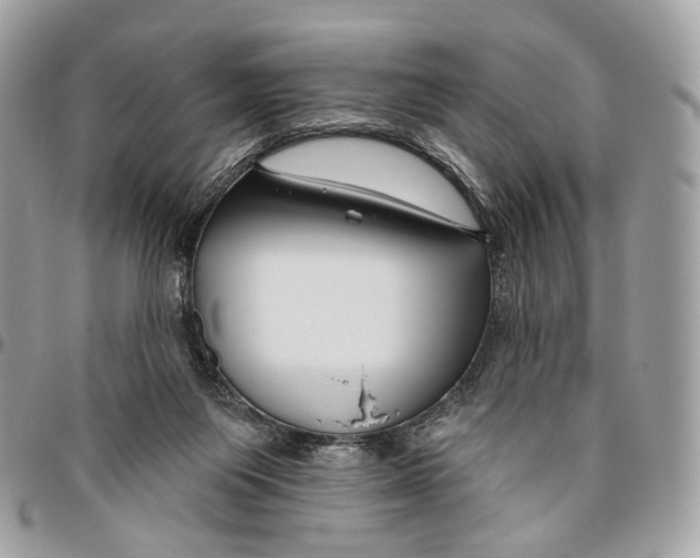 X0000095900119200802081149