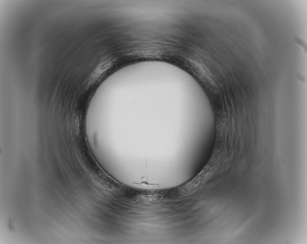 X0000095900120200802081149