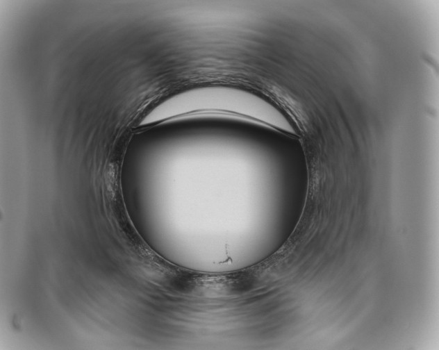 X0000095900121200802081149