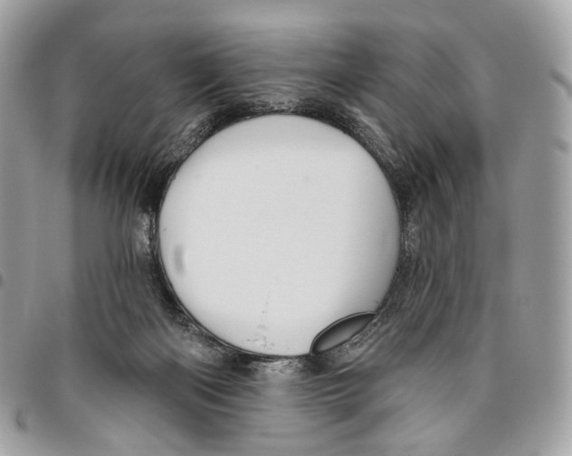 X0000095900122200802081149