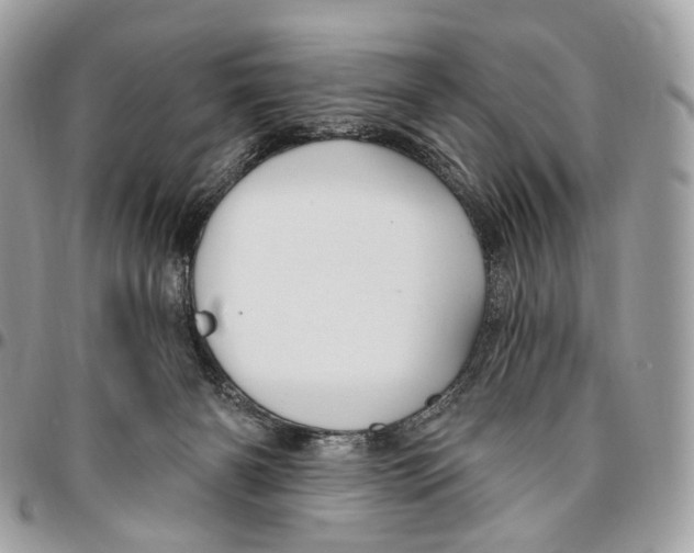 X0000095900126200802081149