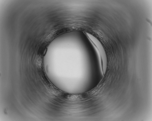 X0000095900129200802081149