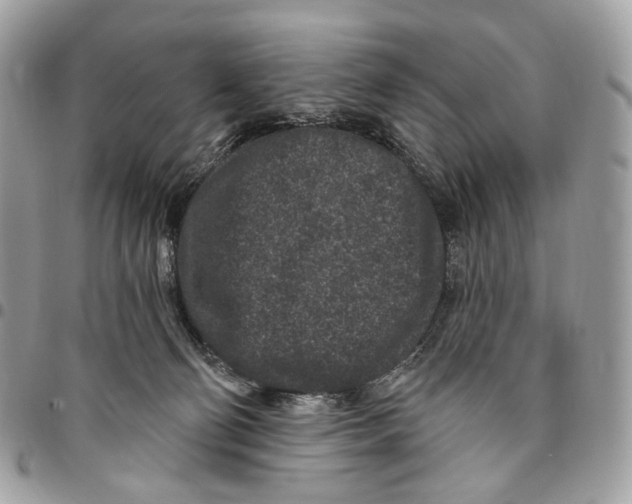 X0000095900130200802081149