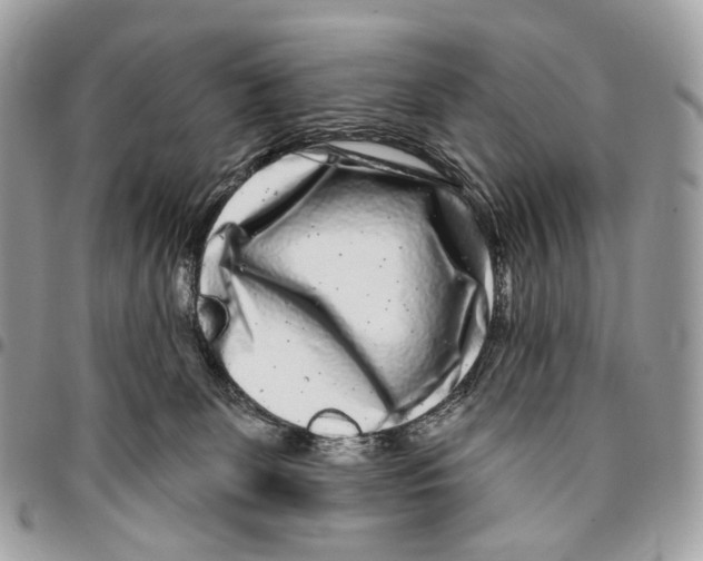 X0000095900131200802081149