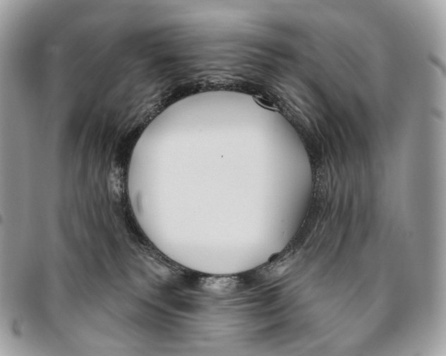 X0000095900135200802081149