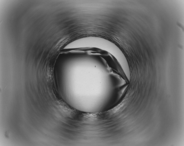 X0000095900140200802081149