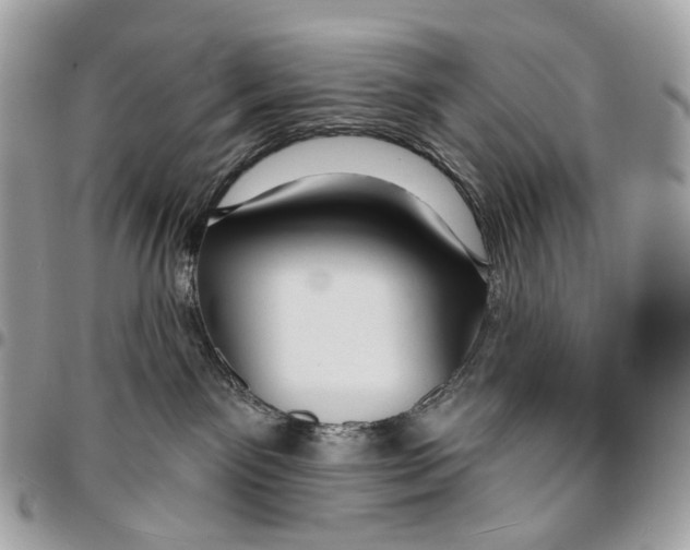 X0000095900141200802081149