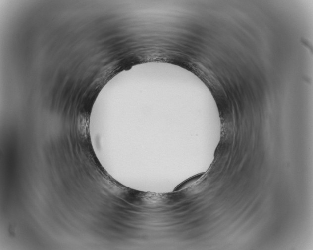 X0000095900142200802081149