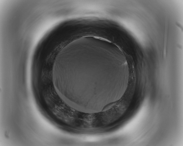 X0000095900143200802081148