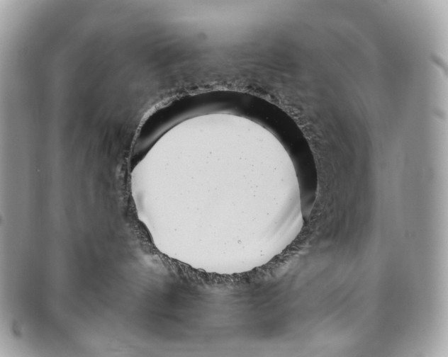 X0000095900144200802081148