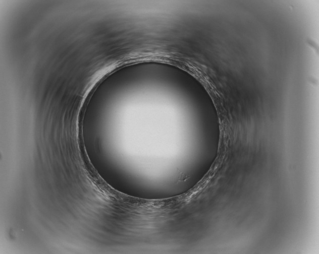 X0000095900148200802081148