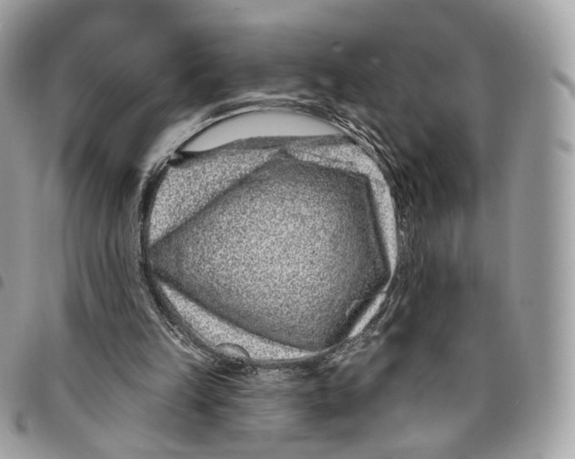 X0000095900149200802081148